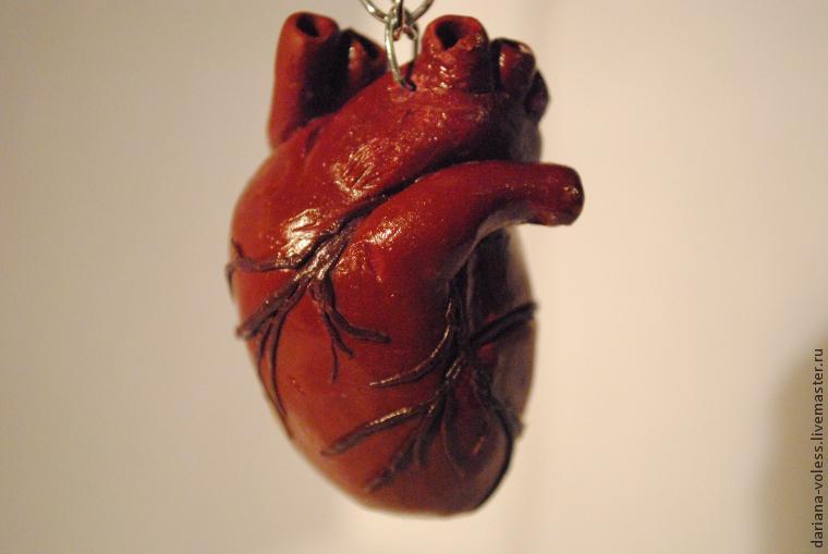 Делаем анатомическое сердце из полимерной глины, фото № 1